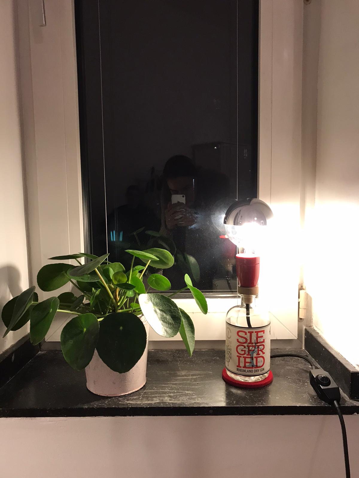 Dominiks Foto